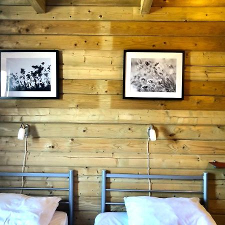 6 Persoons Vakantiehuis Met Sauna, Dichtbij Zee Sint Annaland Eksteriør billede